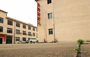 “論實(shí)力說話”專業(yè)硅膠制品廠家！