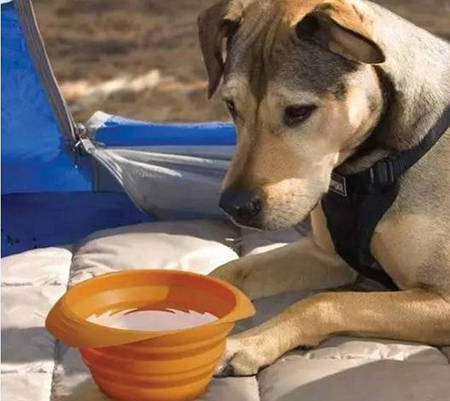 東莞<a href='http://kprled.com/' class='keys' title='點擊查看關于帝博硅膠制品廠的相關信息' target='_blank'>帝博硅膠制品廠</a>