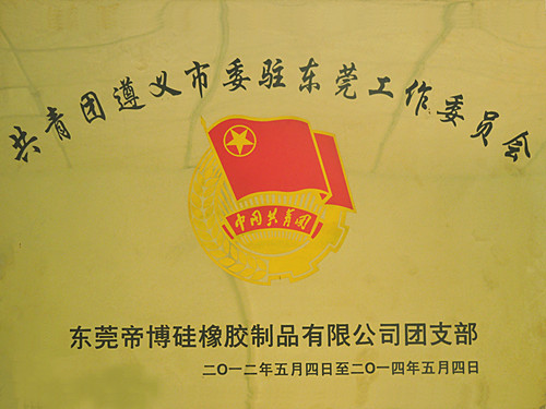 遵義市共青團(tuán)駐東莞委員會(huì)