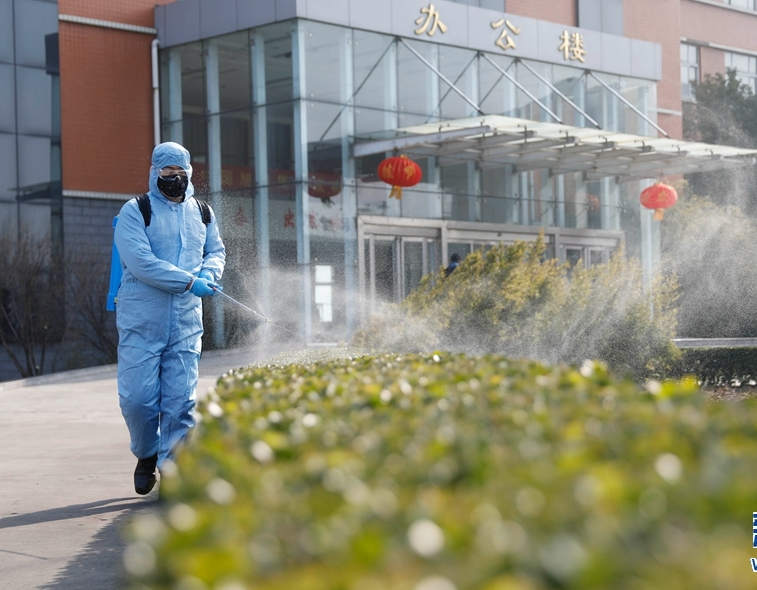 412dwavf.png 412dwavf.png